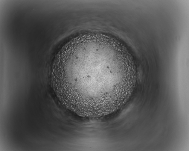 X0000088701494200706141421