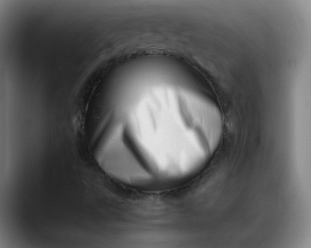 X0000088701495200706141421