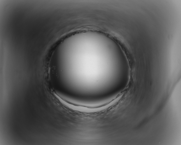 X0000088701496200706141421
