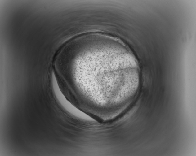 X0000088701497200706141421