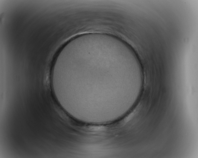 X0000088701498200706141421