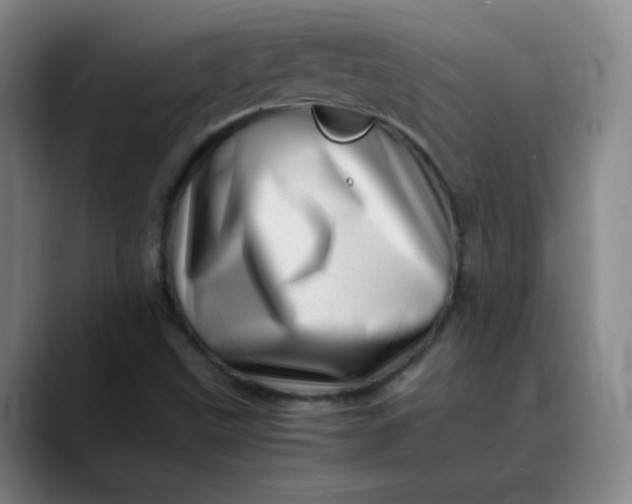 X0000088701499200706141421