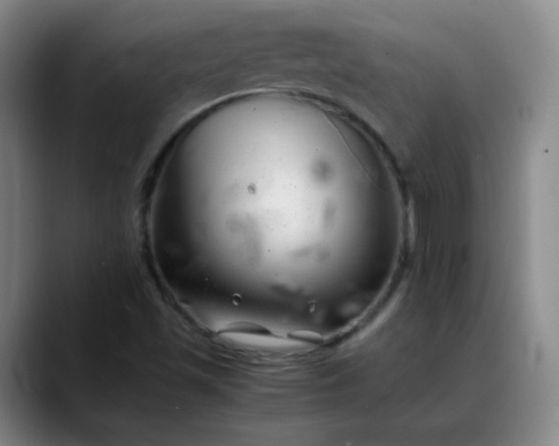 X0000088701501200706141421