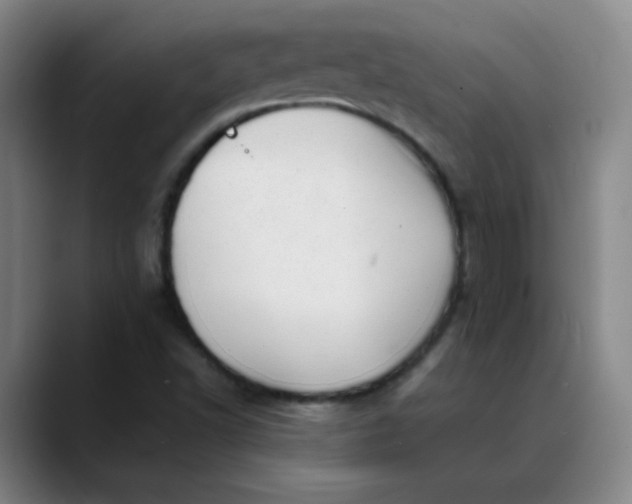 X0000088701502200706141421