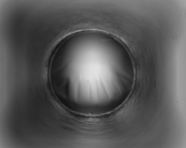 X0000088701503200706141421