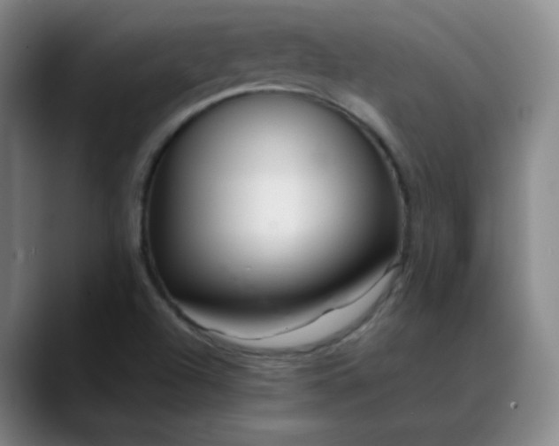 X0000088701504200706141421