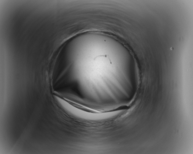 X0000088701505200706141421