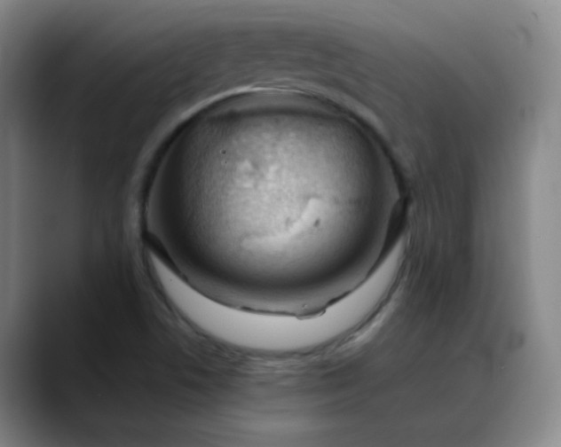 X0000088701506200706141421