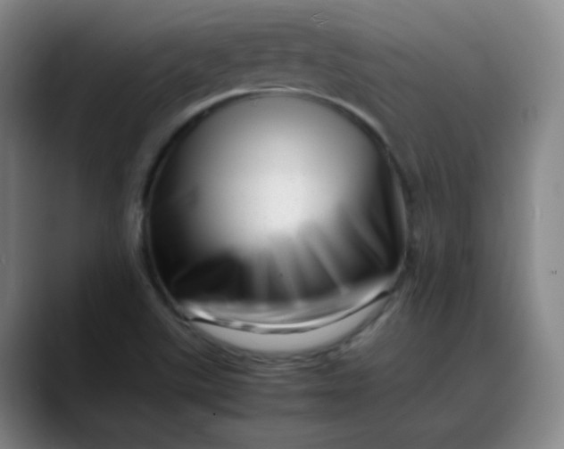 X0000088701507200706141421
