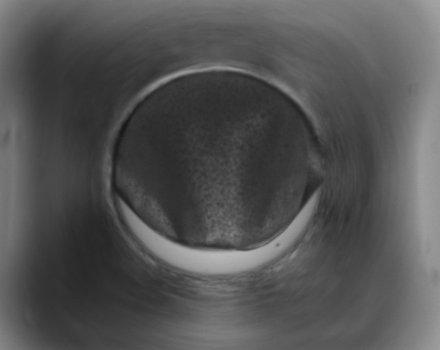 X0000088701508200706141421