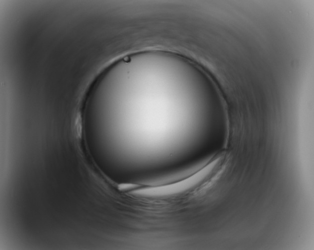 X0000088701509200706141421