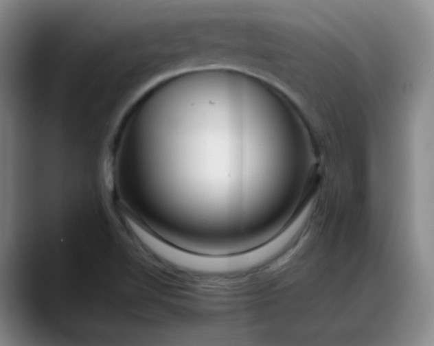 X0000088701510200706141421