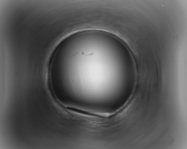 X0000088701511200706141421