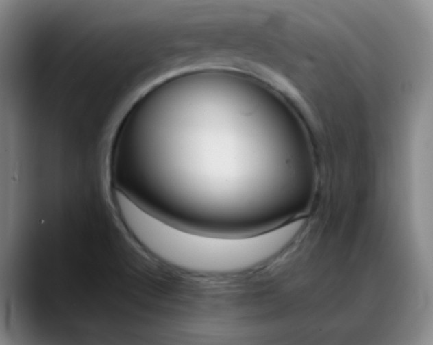 X0000088701512200706141421