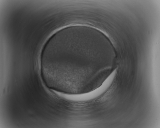 X0000088701515200706141421