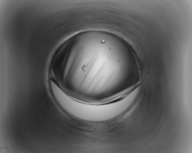 X0000088701517200706141421