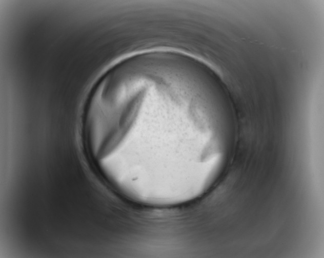 X0000088701518200706141421