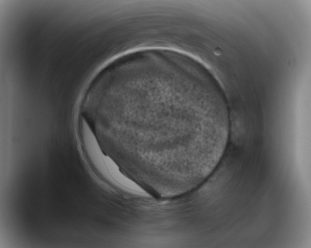 X0000088701519200706141421