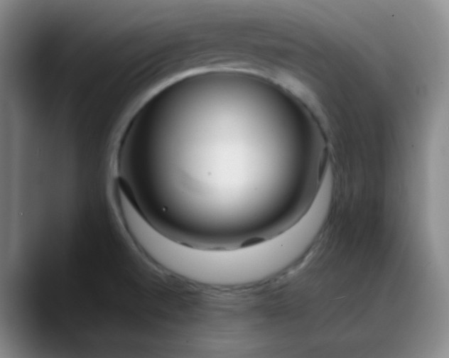 X0000088701520200706141421