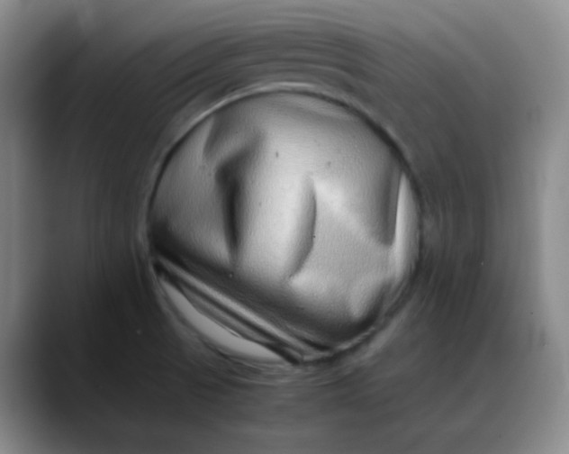 X0000088701521200706141421