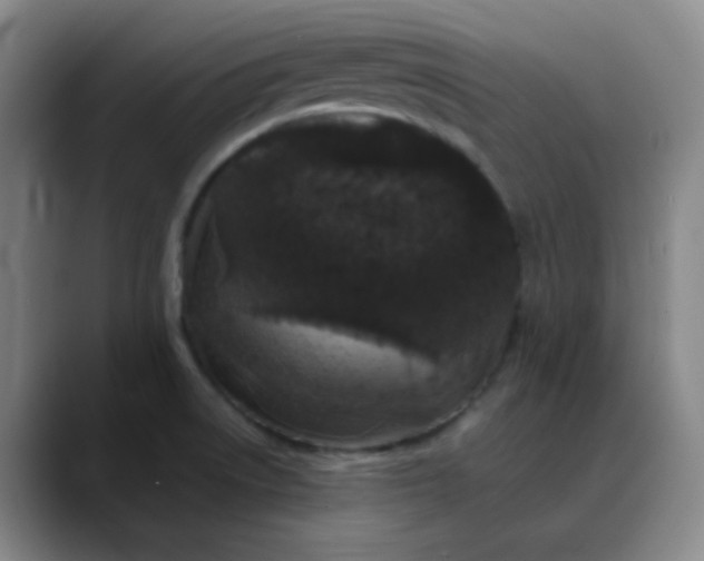 X0000088701522200706141421