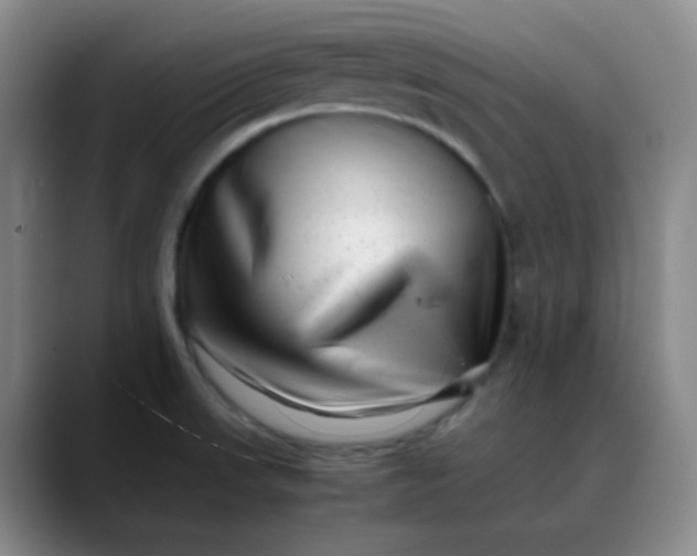 X0000088701523200706141421