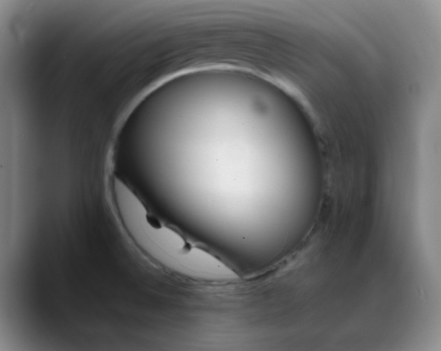 X0000088701524200706141421