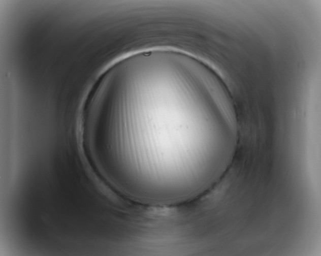 X0000088701526200706141421