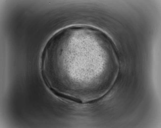 X0000088701527200706141421