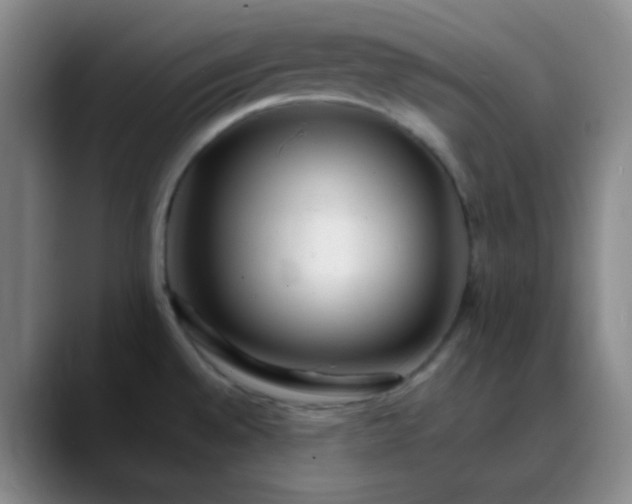 X0000088701528200706141421
