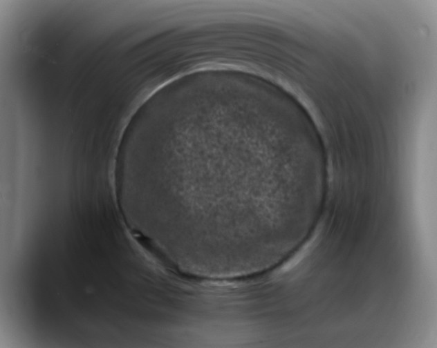 X0000088701529200706141421