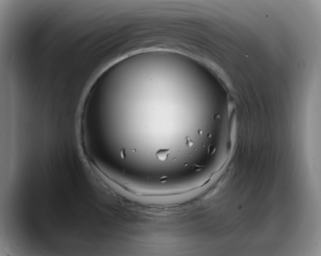 X0000088701530200706141421