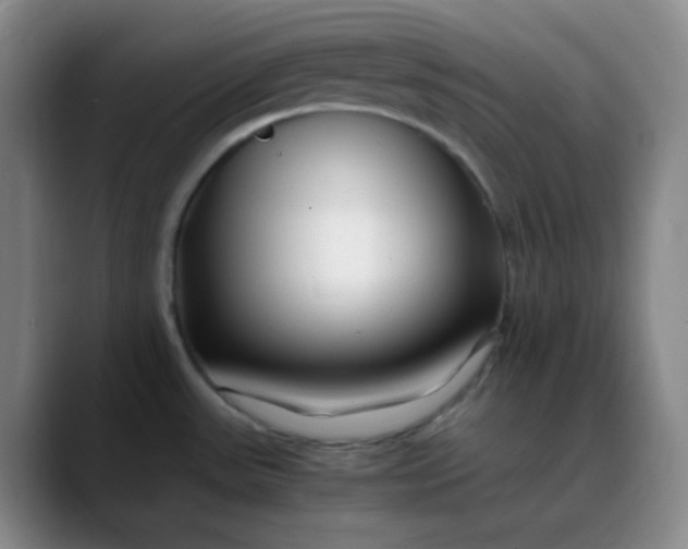 X0000088701531200706141421