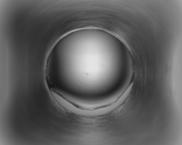 X0000088701532200706141421