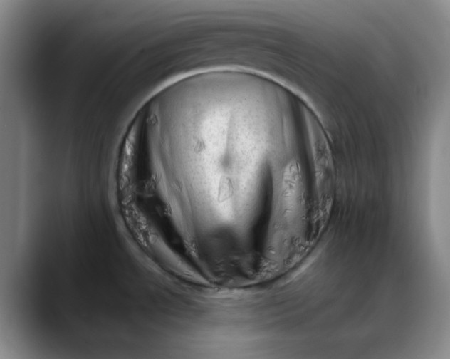 X0000088701534200706141421