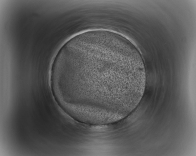 X0000088701535200706141421