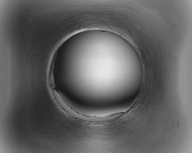 X0000088701536200706141421