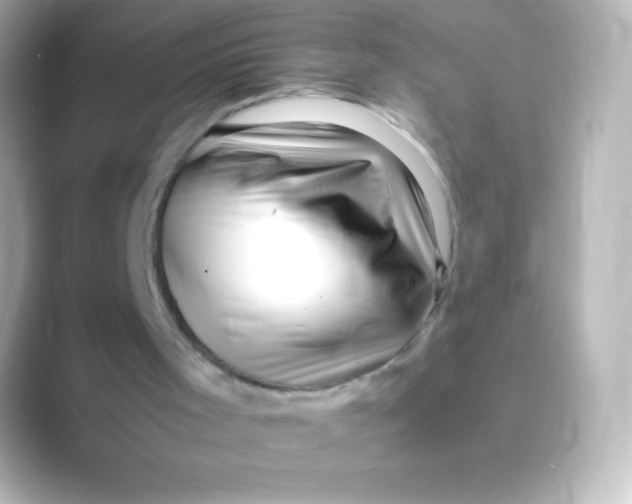 X0000088700001200706211953