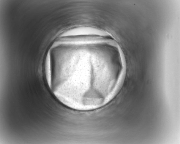 X0000088700002200706211953