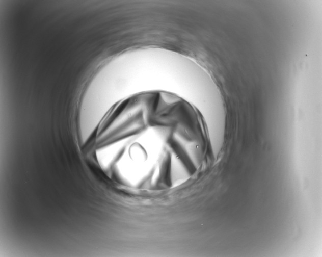 X0000088700003200706211953