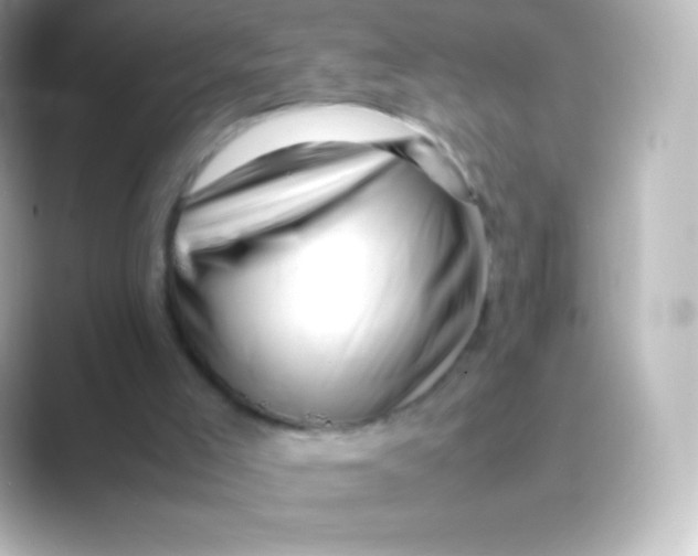 X0000088700005200706211953