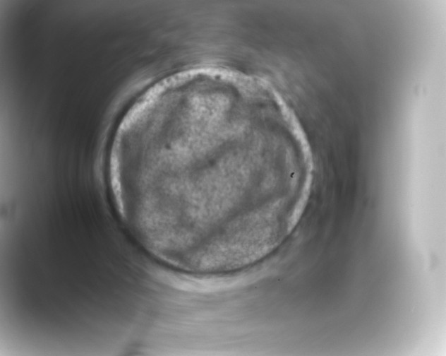 X0000088700006200706211953