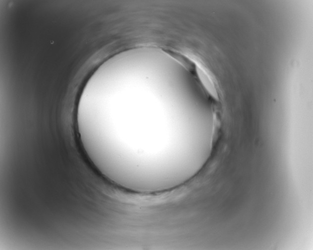 X0000088700007200706211953