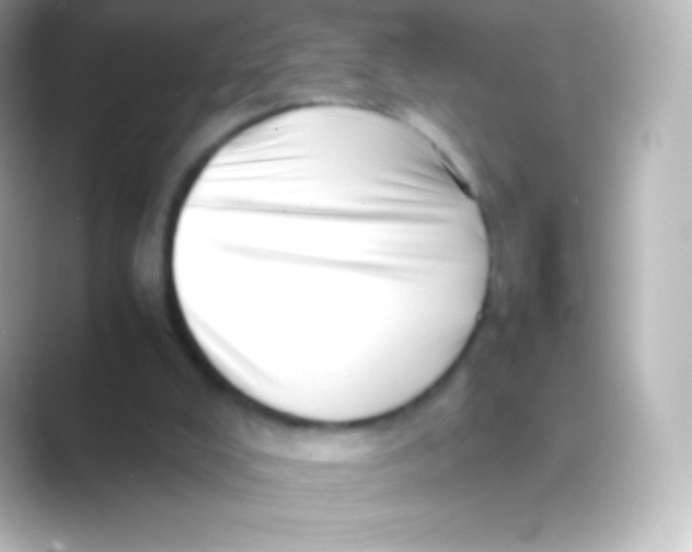 X0000088700008200706211953