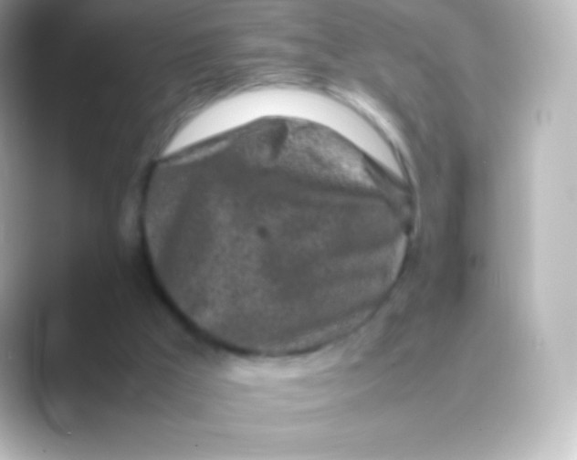 X0000088700009200706211953