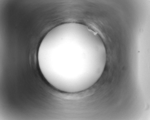 X0000088700011200706211953