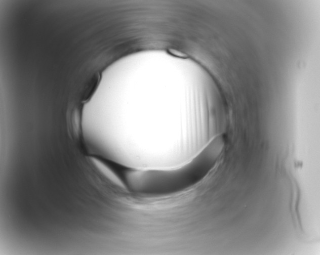 X0000088700013200706211953