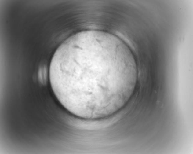 X0000088700014200706211953