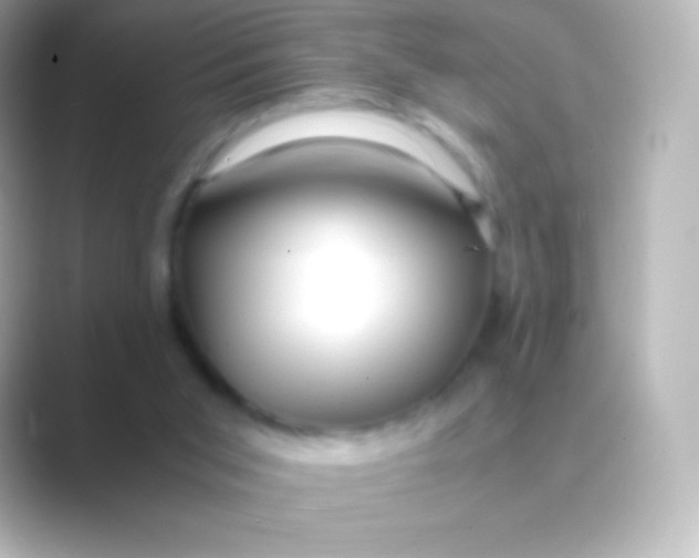 X0000088700015200706211953