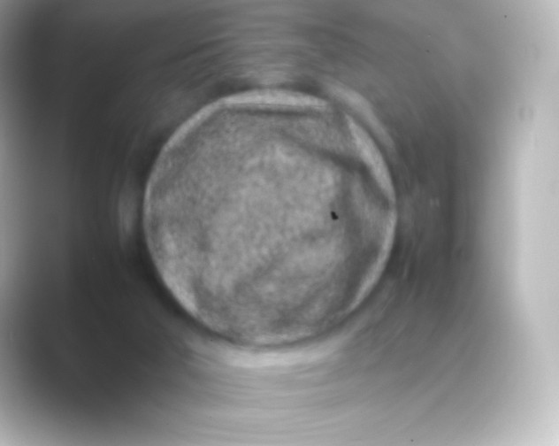 X0000088700018200706211953